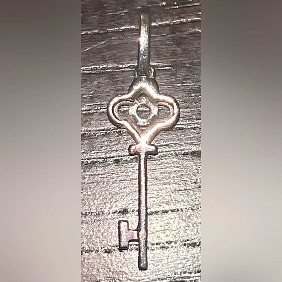 **HOST PICK** STUNNING Diamond & White Gold Key Necklace - Picture 7 of 13